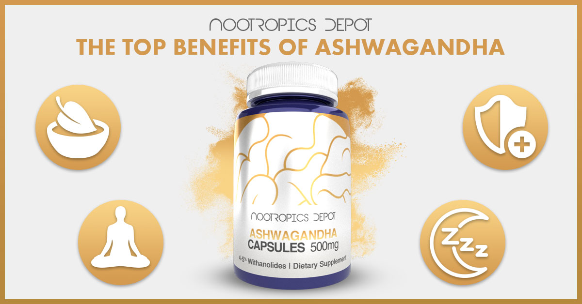 Ashwagandha Benefits | An Ayurvedic Herb for Stress Support, Immune Health, and Restful Sleep