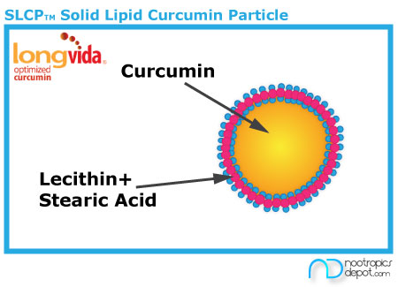 Solid Lipid Curcumin Particle