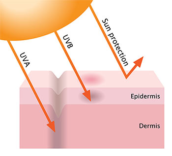How the Sun's UVA and UVB Rays Affect Skin Health