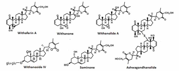 Withanolides Structure
