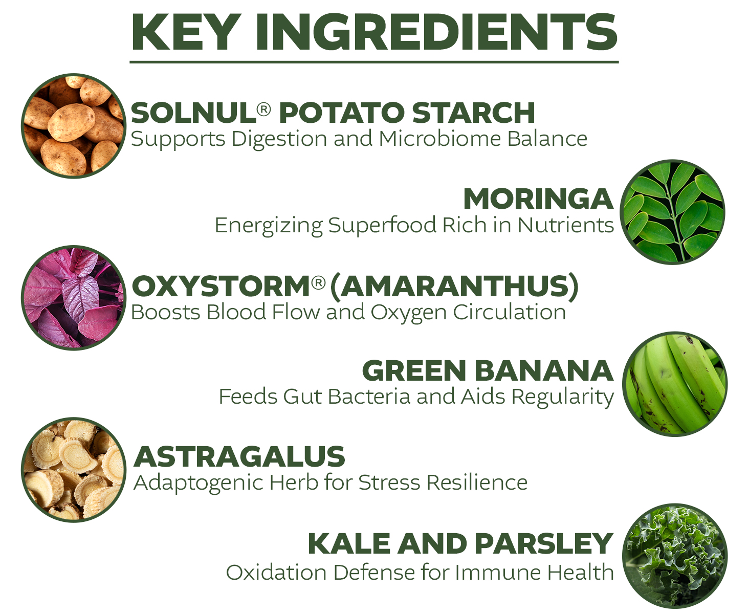 Bahan -bahan utama Infinigreens ditunjukkan: pati kentang solnul, kelor, oxystorm amaranthus, pisang hijau, astragalus, kale, peterseli.