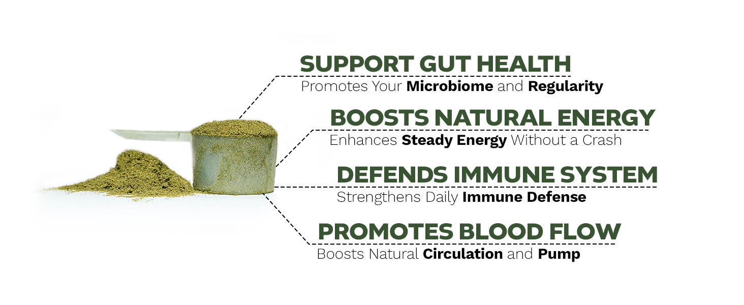 Suplemen bubuk Infinigreens Greens yang menyoroti kesehatan usus, energi, kekebalan, dan manfaat aliran darah.