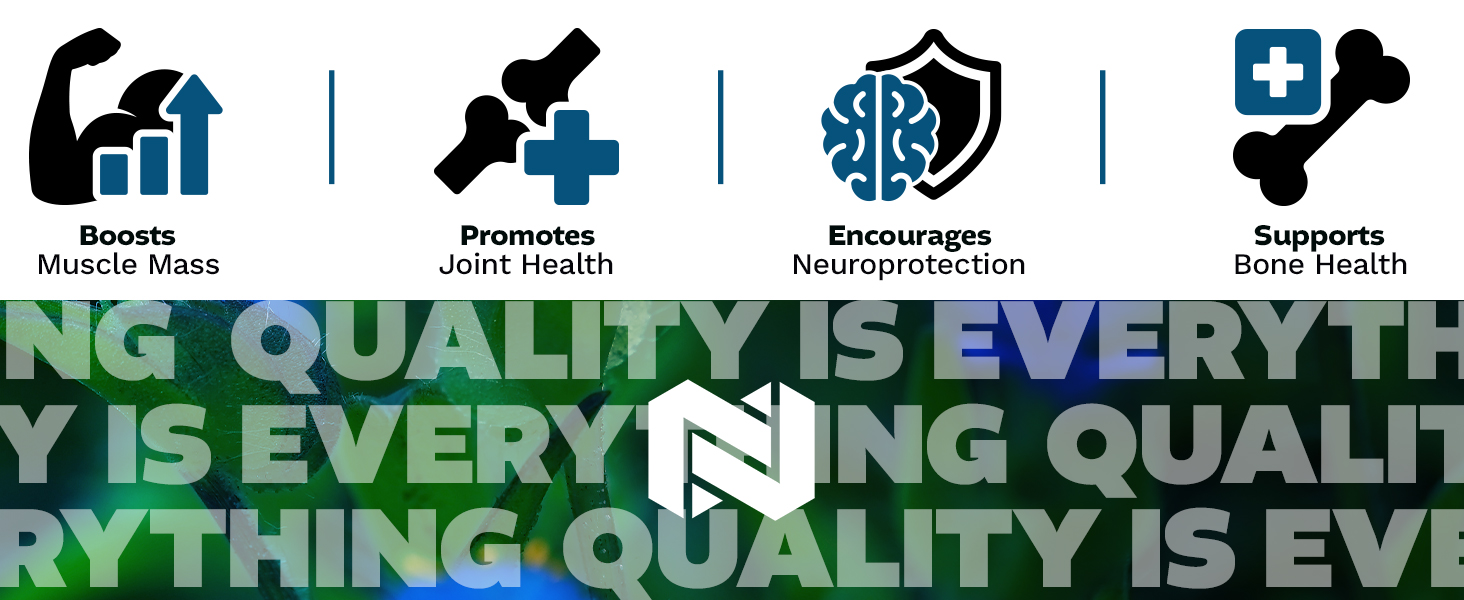 Beta-Ecdysterone benefits infographic showing muscle, joint, bone, and neuroprotection claims for nootropic supplement.