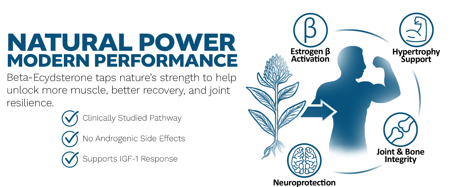 Infographic for Beta-Ecdysterone showing supplement benefits including muscle mass boost, joint health, neuroprotection, and bone support.