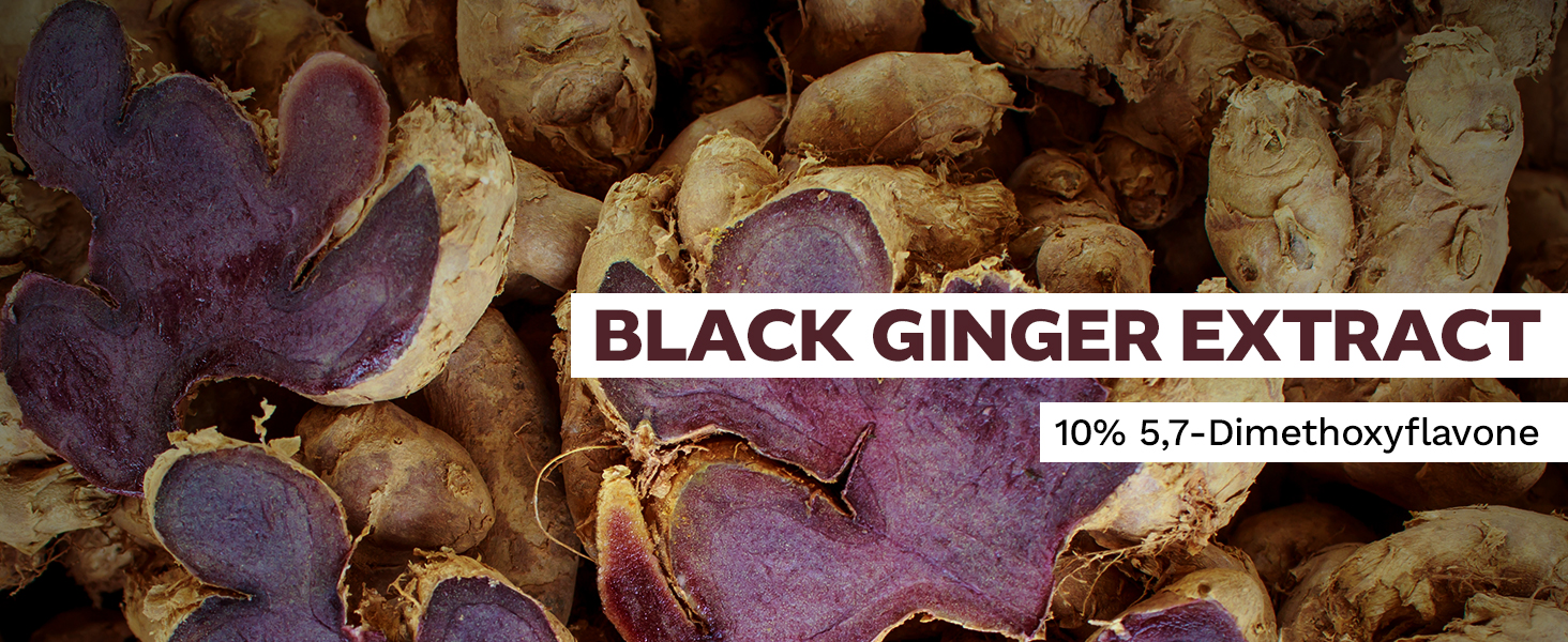 Black Ginger Extract Capsules