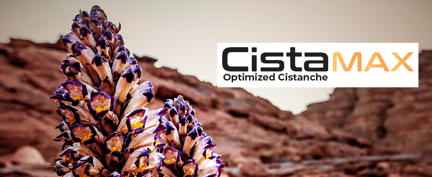 Cistamax Optimized Cistanche nootropic supplement branding with desert cistanche flower in rocky landscape.