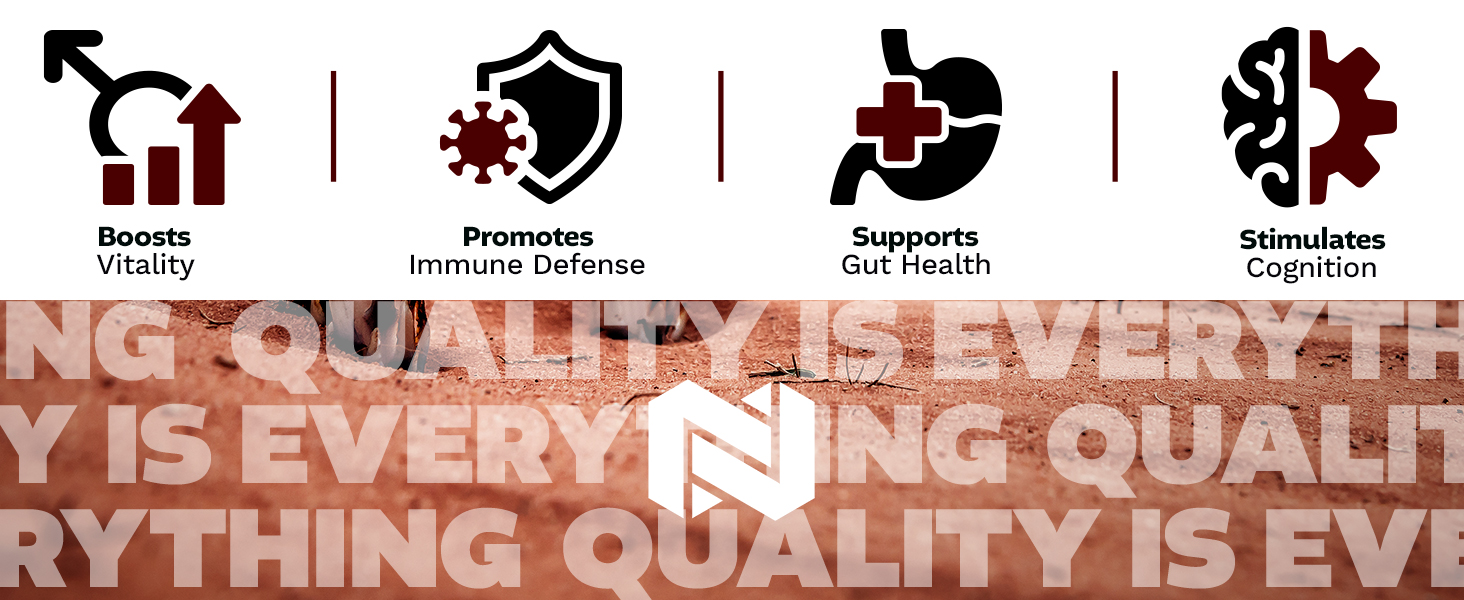 Nootropics Depot benefits icons with boosts vitality, immune defense, gut health, and cognition for cognitive support supplement.