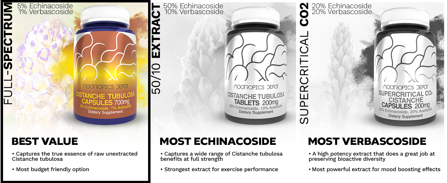 Cistanche tubulosa Capsules | 5% Echinacoside, 1% Acetoside