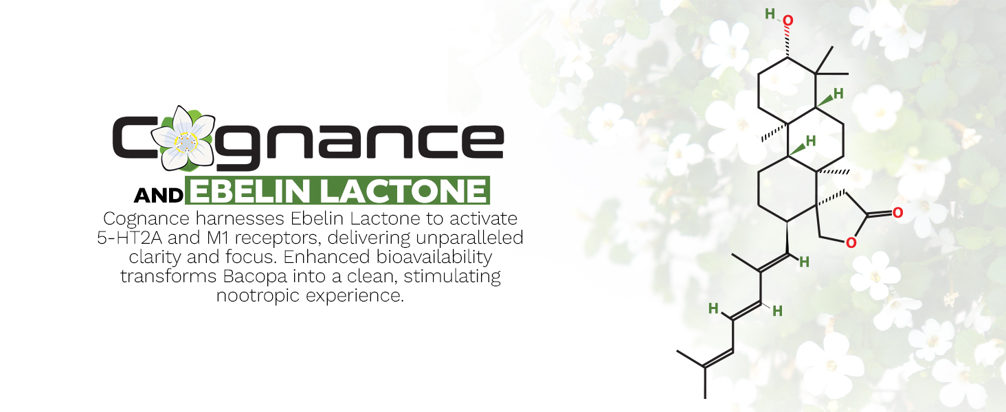 Promotional graphic for Cognance and Ebelin Lactone featuring bold text, a flower logo, and a molecular structure diagram. The text highlights Cognance using Ebelin Lactone to activate 5-HT2A and M1 receptors for clarity and focus, accompanied by technical claims and a stylized background with white flowers.