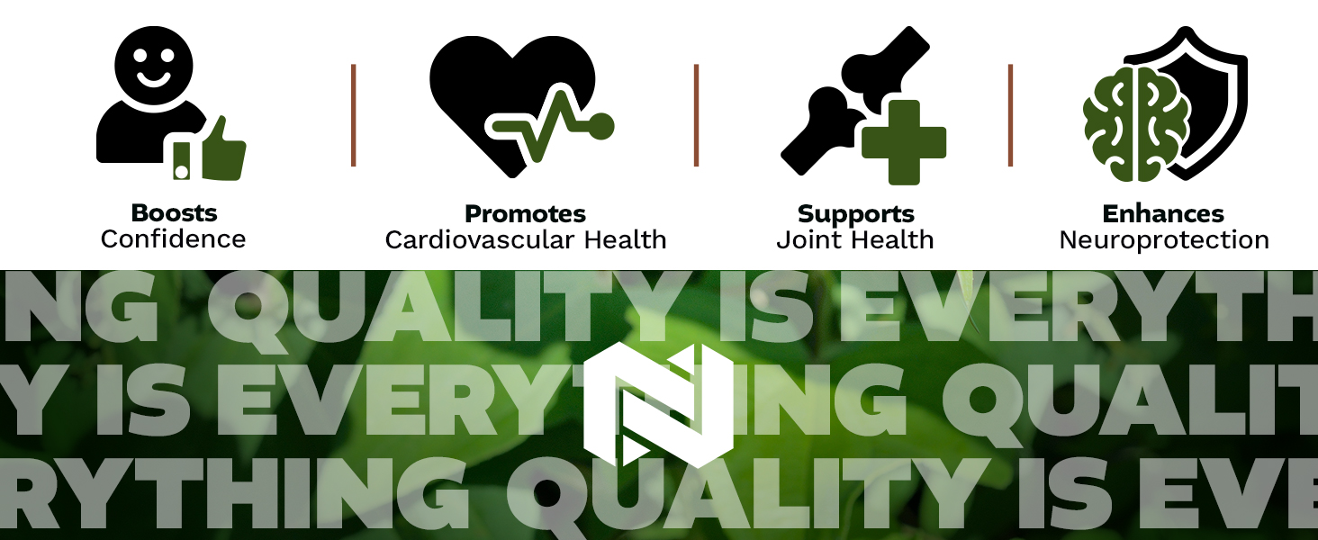 Icons illustrating Dioscorea nipponica supplement benefits: boosts confidence, supports joints, cardiovascular health, and neuroprotection.