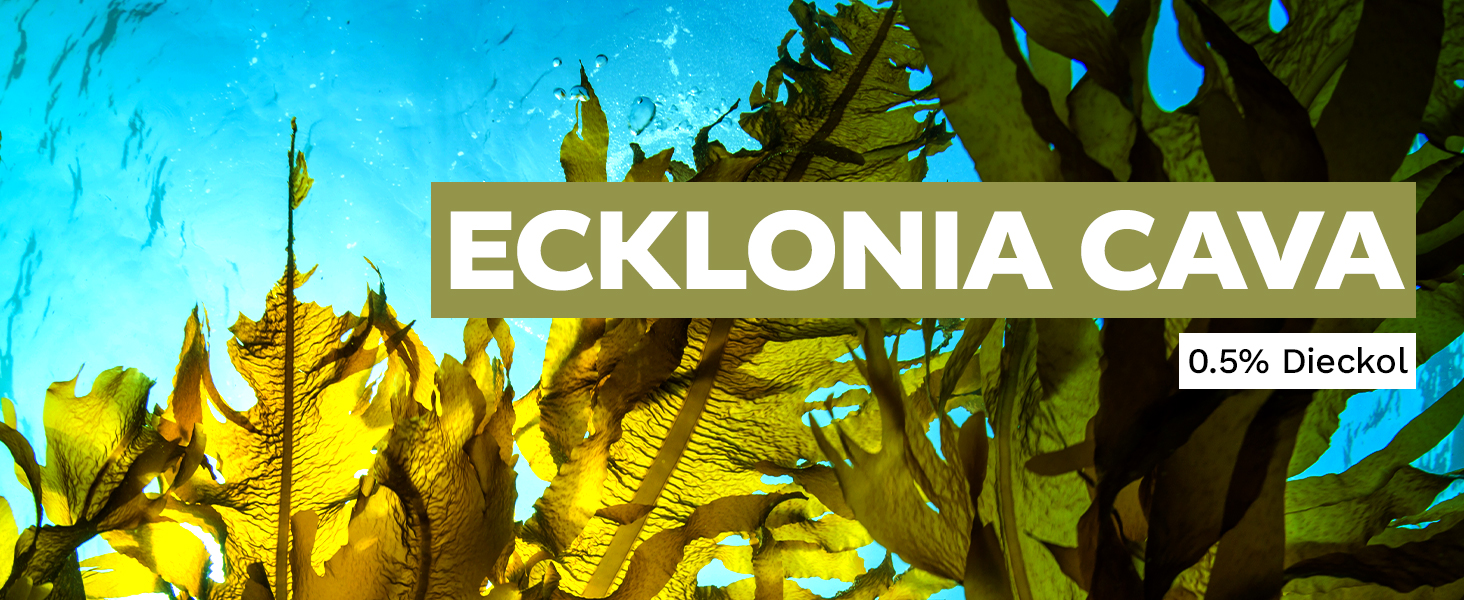 Ecklonia Cava seaweed supplement banner with underwater kelp and 0.5% dieckol content highlighted.