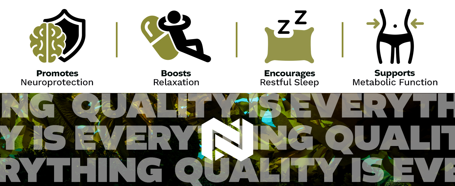 Icons highlighting Ecklonia Cava supplement benefits: neuroprotection, relaxation, restful sleep, and metabolic support.