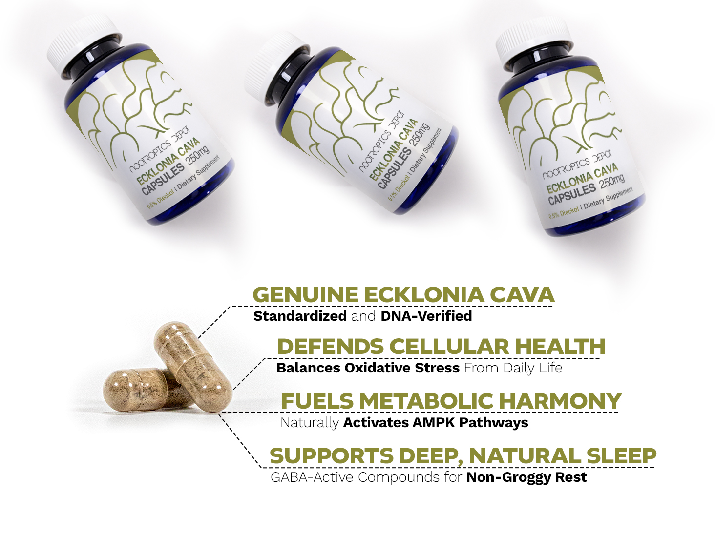 Nootropics Depot Ecklonia Cava capsules with benefits listed: cellular health, metabolic harmony, and deep natural sleep.