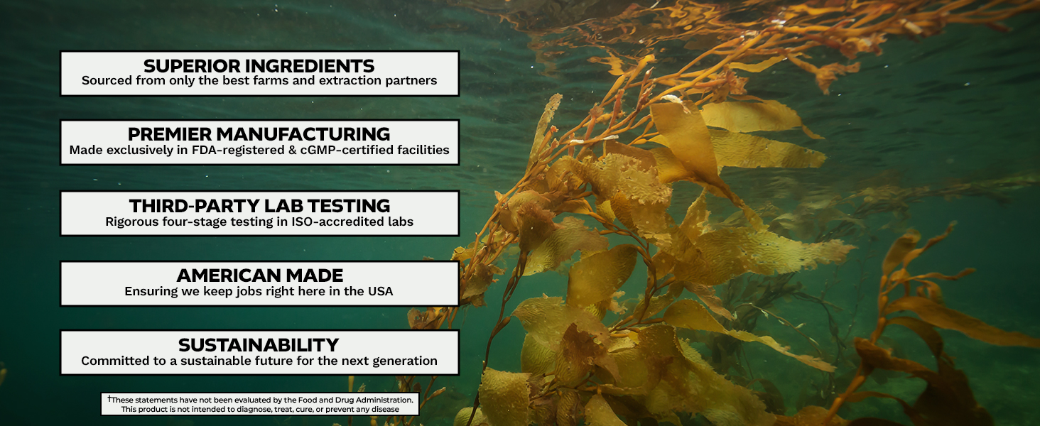Underwater kelp with Ecklonia Cava supplement quality highlights: superior ingredients, premier manufacturing, third-party lab testing, American made, and sustainability.