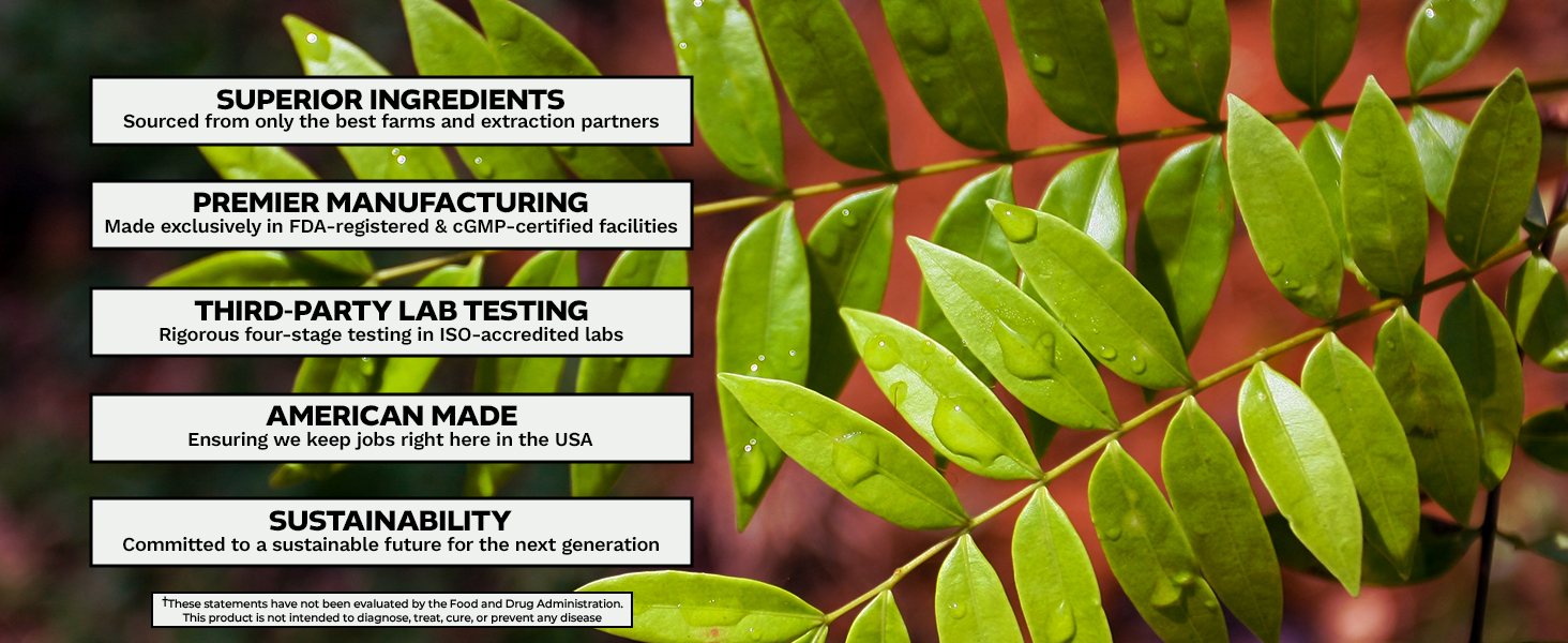 Nootropics Depot quality standards for supplements over fresh tongkat ali leaves: superior ingredients, premier manufacturing, third-party lab testing, American made, sustainability.