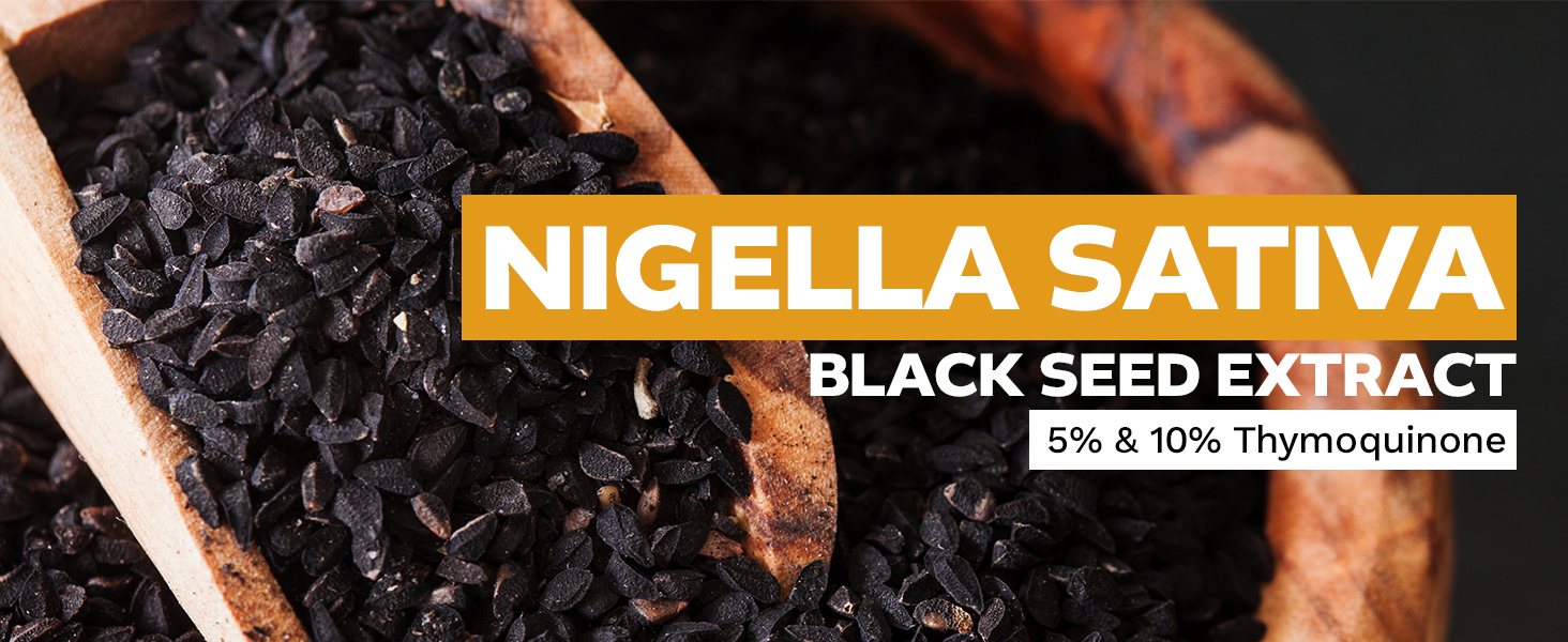Nigella sativa black seed extract with 5% and 10% thymoquinone in wooden scoop.