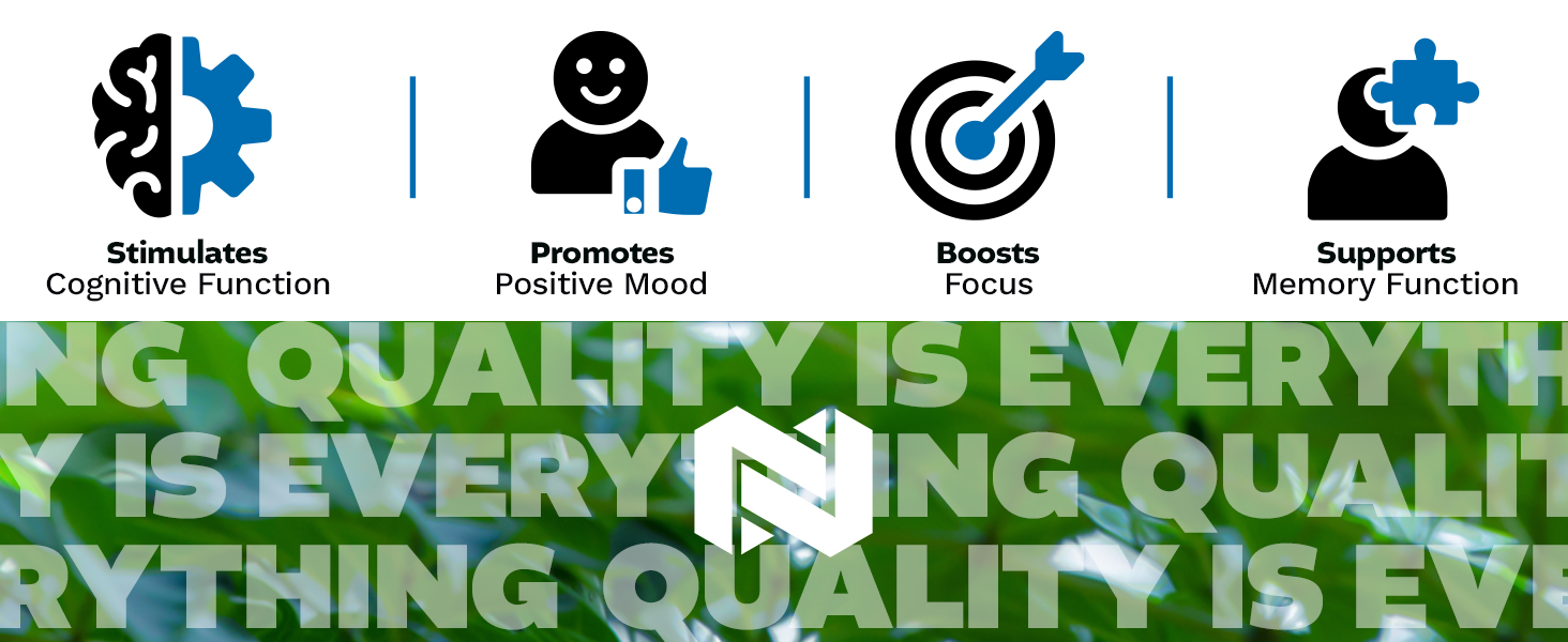 Icons showing Sabroxy benefits: stimulates cognition, boosts focus, supports memory, and promotes mood.