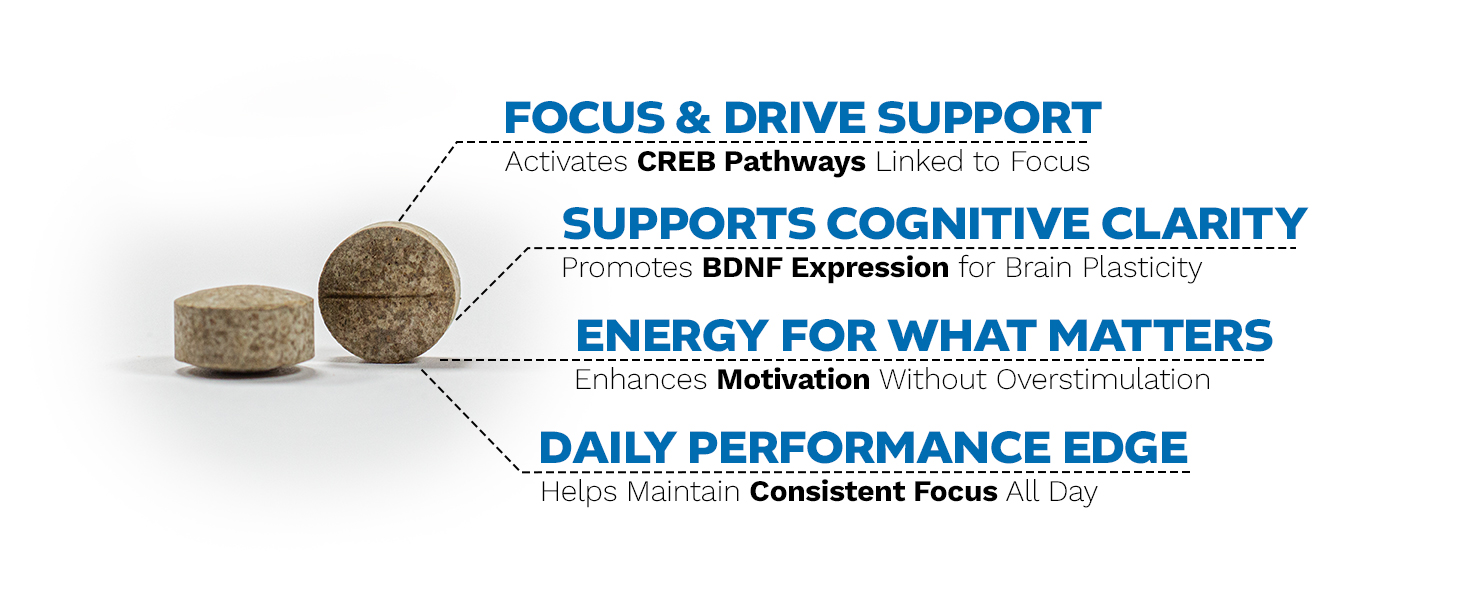 Sabroxy tablets highlighting support for focus, cognitive clarity, energy, and daily performance enhancement.