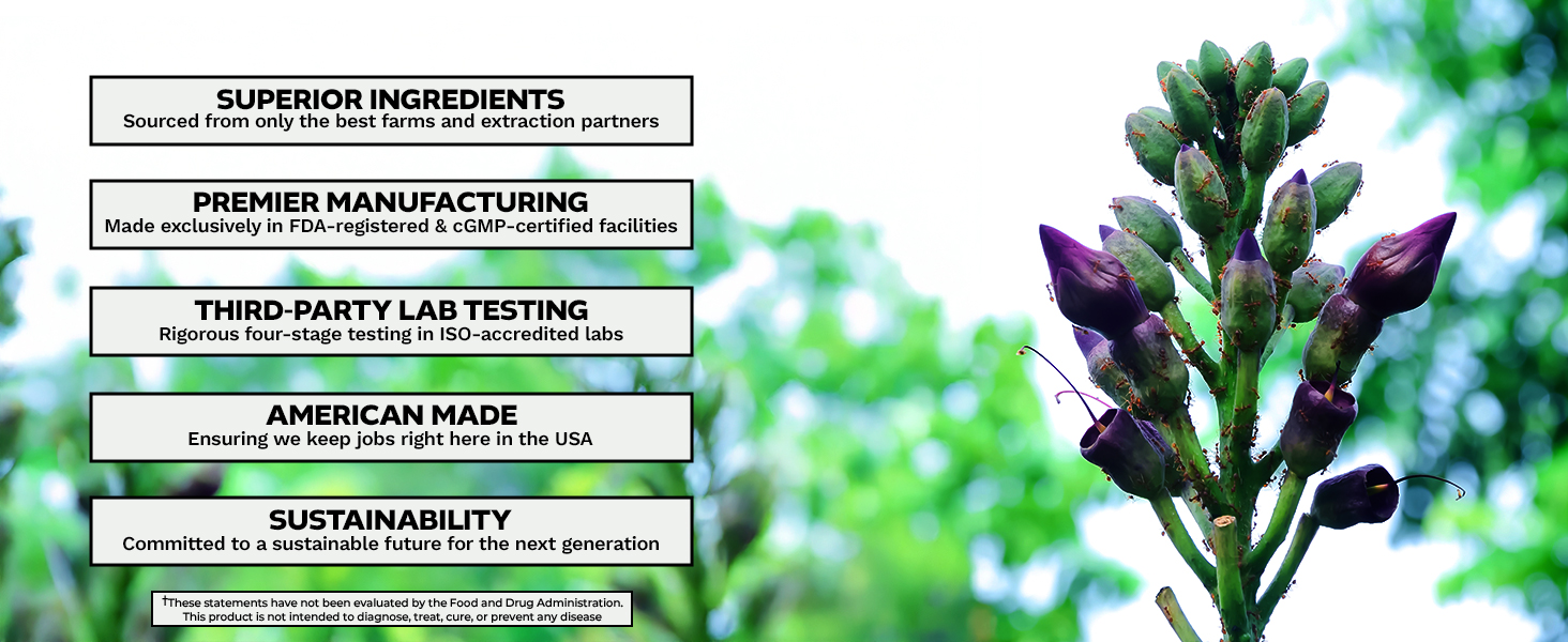 Oroxylum indicum plant shown with benefits of Sabroxy: superior ingredients, third-party testing, and sustainability.