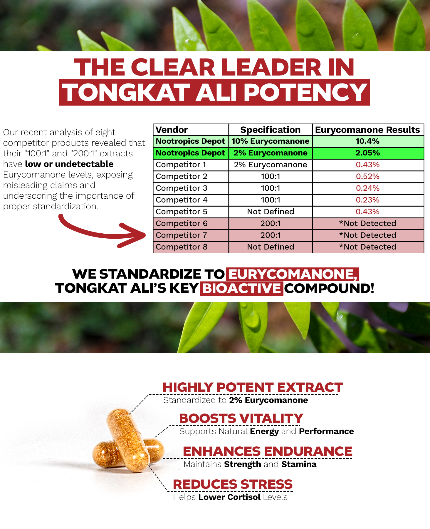 Tongkat Ali Extract Capsules | 2% Eurycomanone