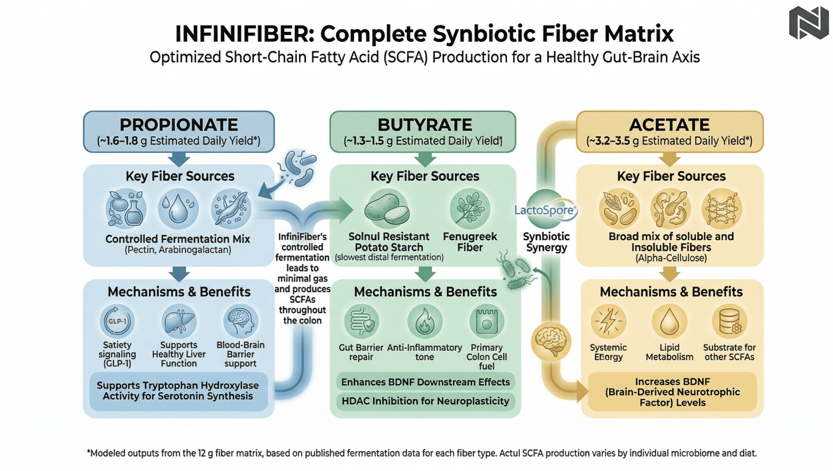 InfinFiber - Short Chain Fatty Acid Profile