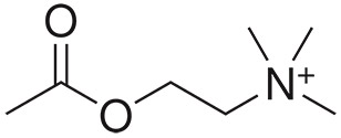 Acetylcholine Chemical Structure
