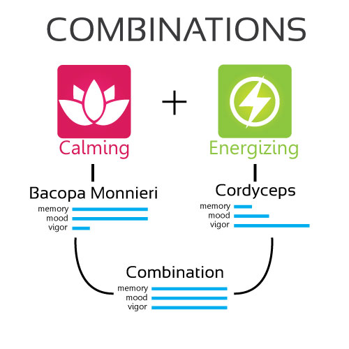 Nootropic Adaptogen Stacks