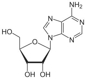 Andenosine Structure