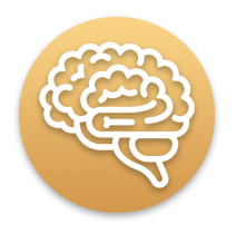 Ashwagandha Brain Health Benefits Ashwagandha Brain Health Benefits