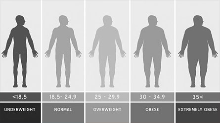 Body Mass Index Chart