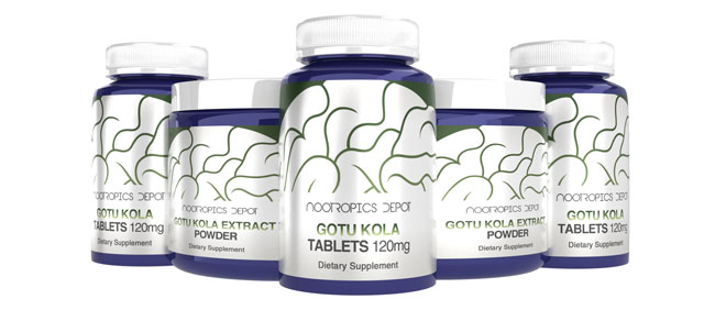 Buy Gotu Kola Supplements from Nootropics Depot