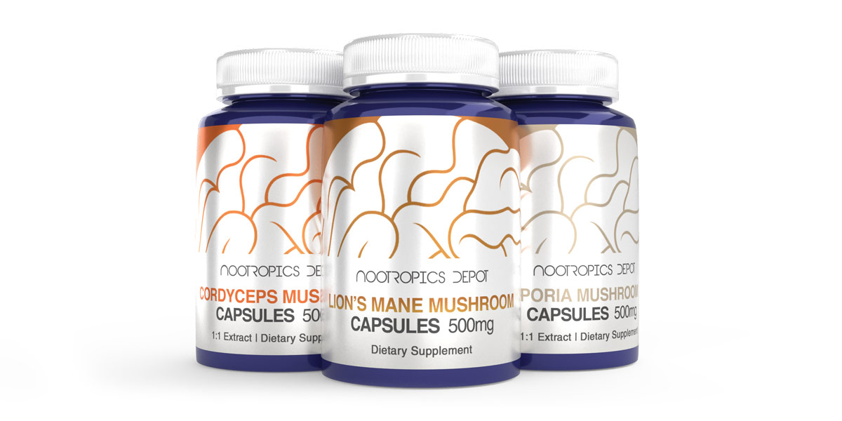 Buy Mushroom Extracts from Nootropics Depot