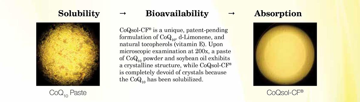 CoQ10 Solubility