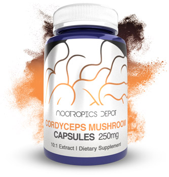 Buy Cordyceps Mushroom 10:1 Extract