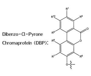 DBP Diagram