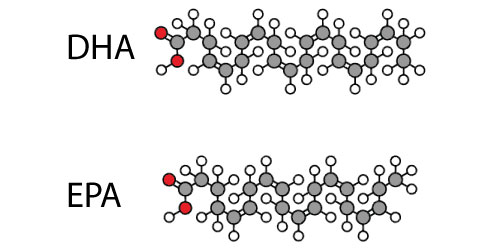 EPA vs. DHA Comparison