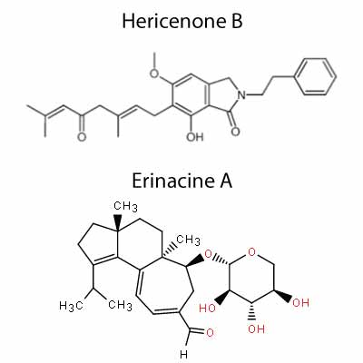 Hericenone Structures