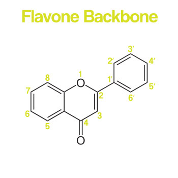Flavone Backbone