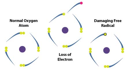 Free Radicals Diagram