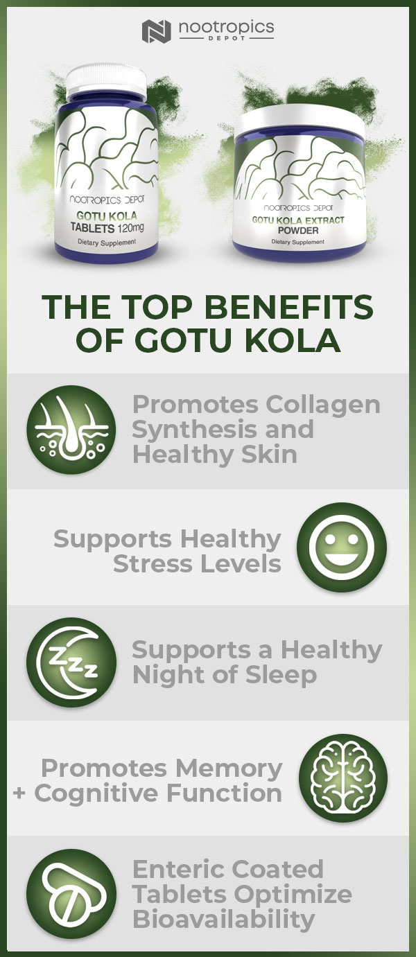 Gotu Kola Infographic
