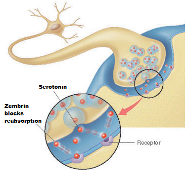 How Zembrin Kanna Works