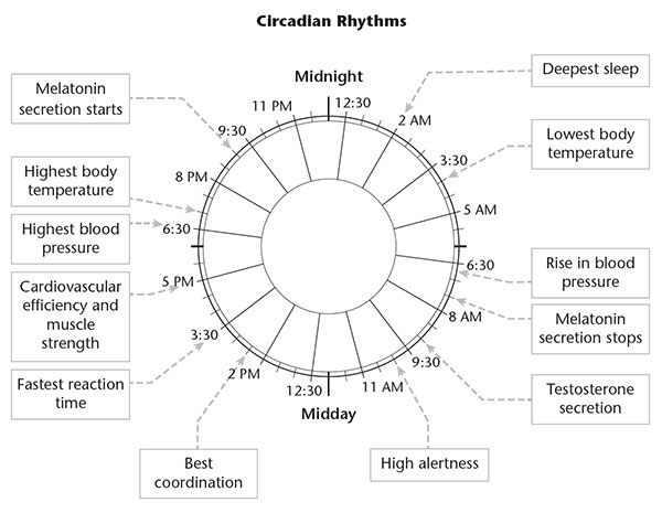 Melatonin Dose Chart For Sleep