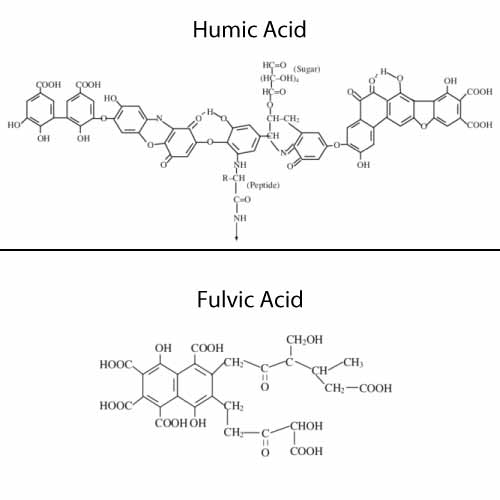 Humic Acid and Fulvic Acid Structure