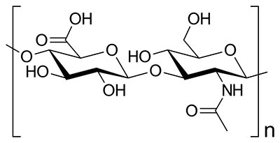 Hyaluronic Acid Structure