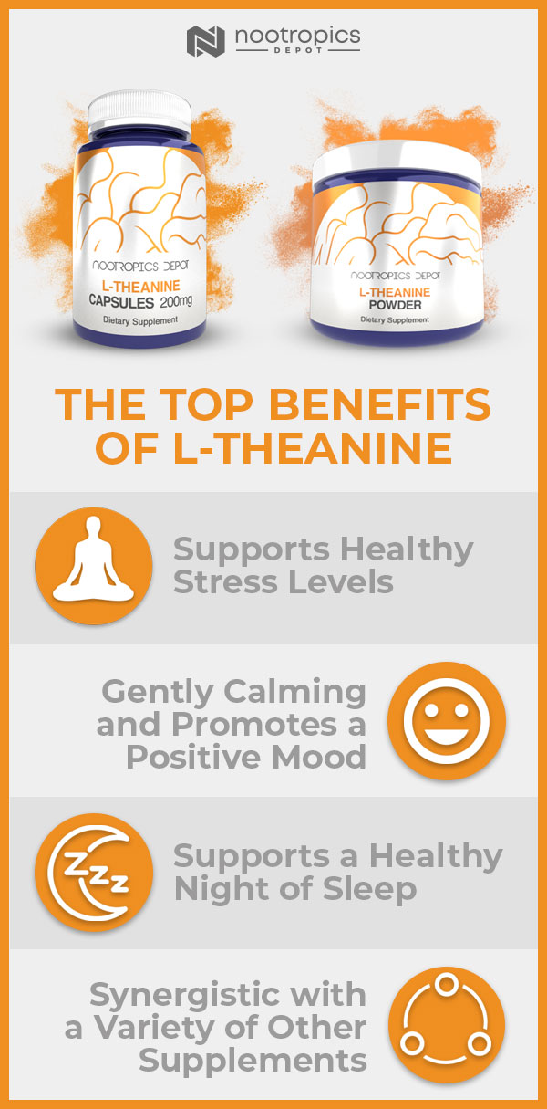 L Theanine Infographic: The Top Benefits of L-Theanine