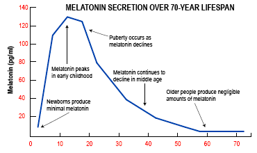 melatonin half life