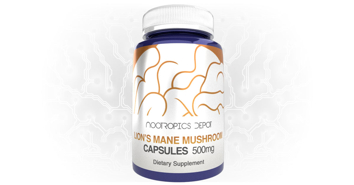 Buy Lion's Mane Mushroom Supplements