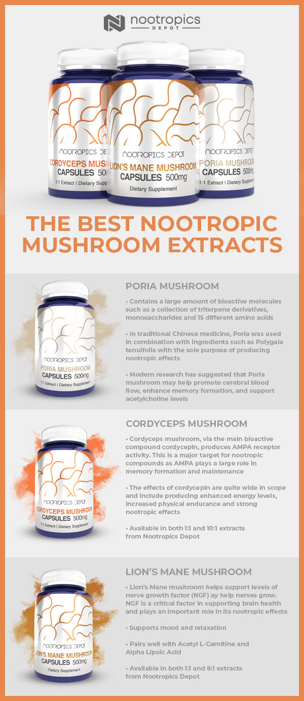 The Best Nootropic Mushrooms Infographic