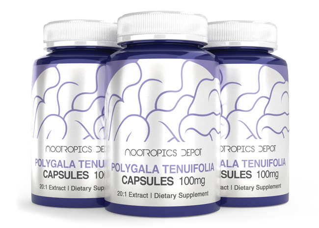 Buy Polygala tenuifolia Capsules from Nootropics Depot