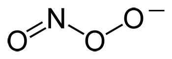 Peroxynitrite Structure